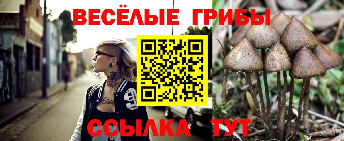 Галлюциногенные грибы Magic Shrooms  купить наркотики сайты  Каменск-Уральский  Вход с VPN 