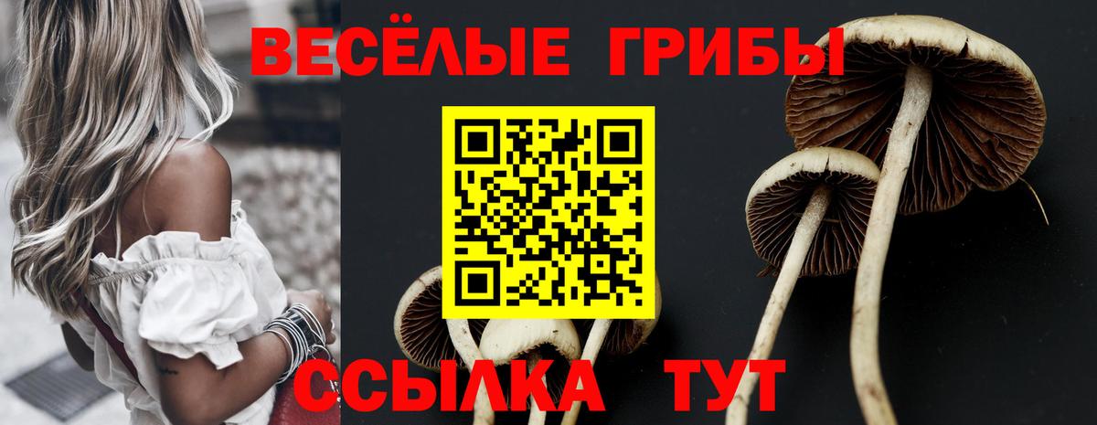 Галлюциногенные грибы Cubensis Каменск-Уральский